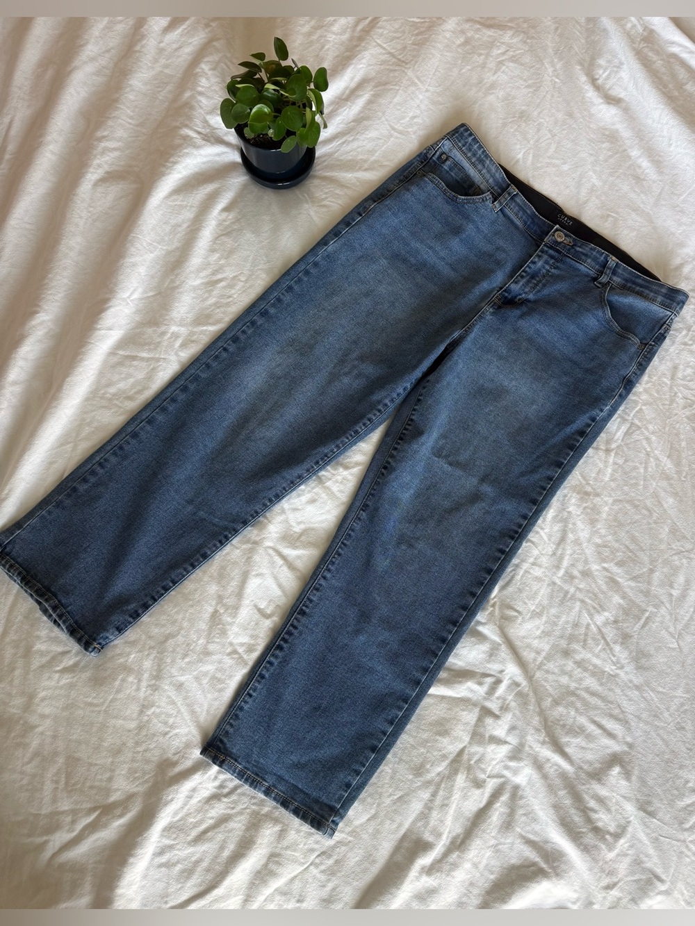 Women’s Curve Appeal Straight Leg Jeans — Classic Denim Blue